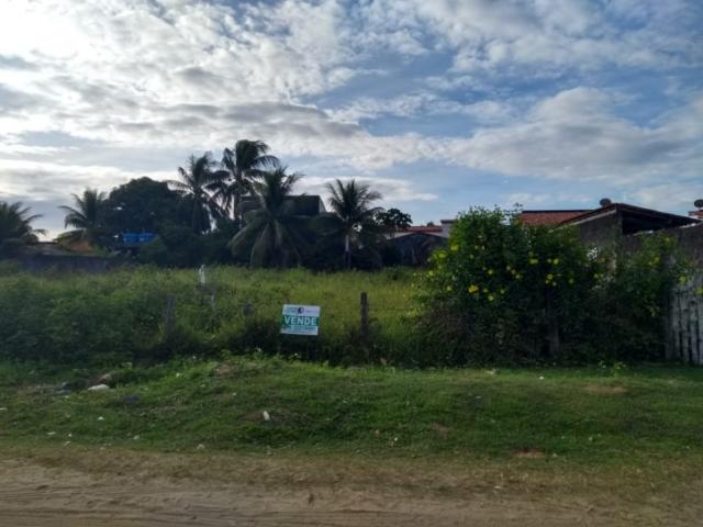 #131 - Terreno para Venda em Saubara - BA