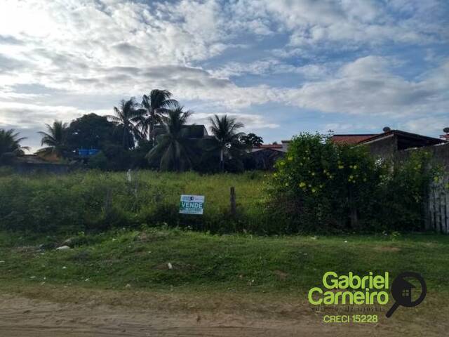 #131 - Terreno para Venda em Saubara - BA - 1