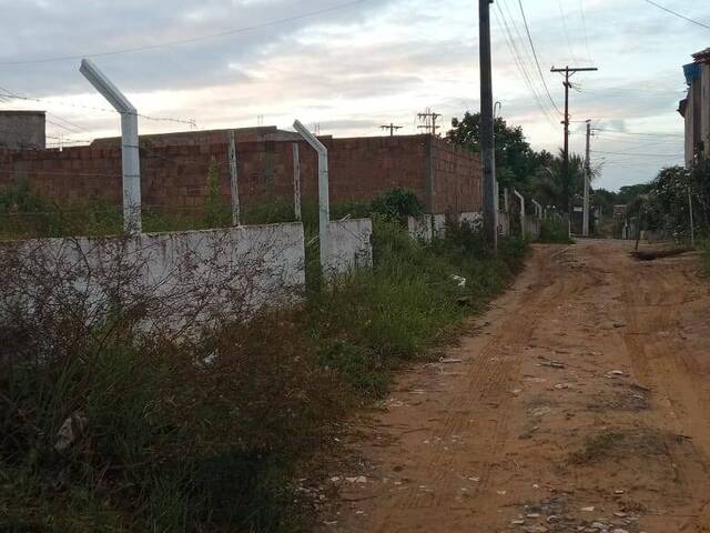 #599 - Terreno para Venda em Saubara - BA - 1