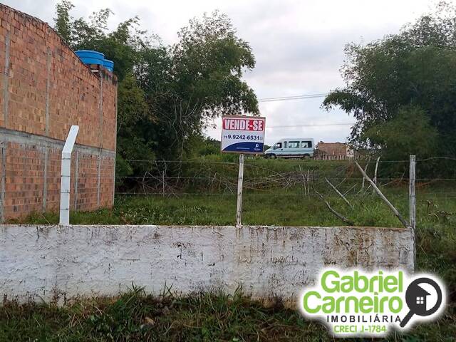 #599 - Terreno para Venda em Saubara - BA - 2