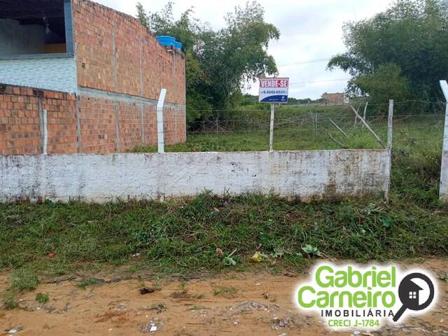 #599 - Terreno para Venda em Saubara - BA - 3