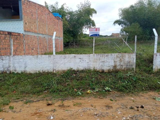Terreno para Venda em Saubara - 4